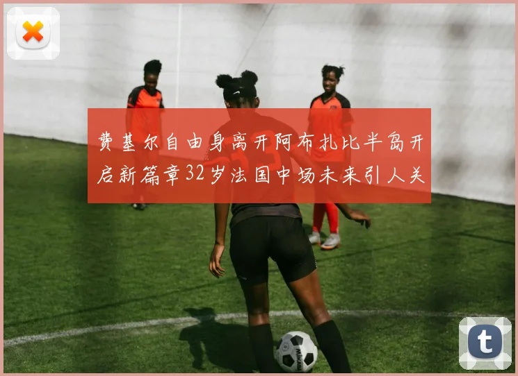 费基尔自由身离开阿布扎比半岛开启新篇章32岁法国中场未来引人关注